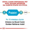 Whiskas 325628 cats dry food Adult Chicken 14 kg Whiskas 325628 cats dry food Adult Chicken 14 kg