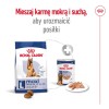 ROYAL CANIN Maxi Adult 5+ - dry dog food - 15 kg ROYAL CANIN Maxi Adult 5+ - dry dog food - 15 kg