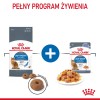 ROYAL CANIN FCN Light Weight Care in jelly - wet food for adult cats - 12x85g