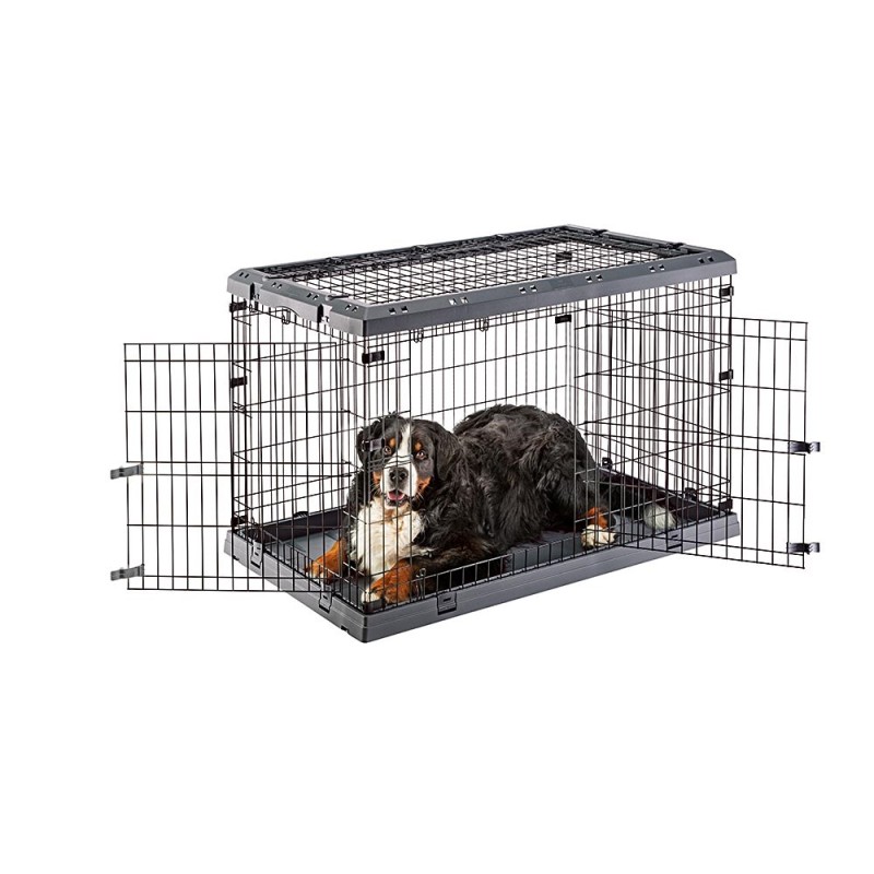 Farmina Pet Food LAMB & BLUEBERRY ADULT MINI Farmina Pet Food LAMB & BLUEBERRY ADULT MINI