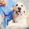 JM SANTE POLISEPT VET GEL opatrunek żelowy 30ml JM SANTE POLISEPT VET GEL opatrunek żelowy 30ml