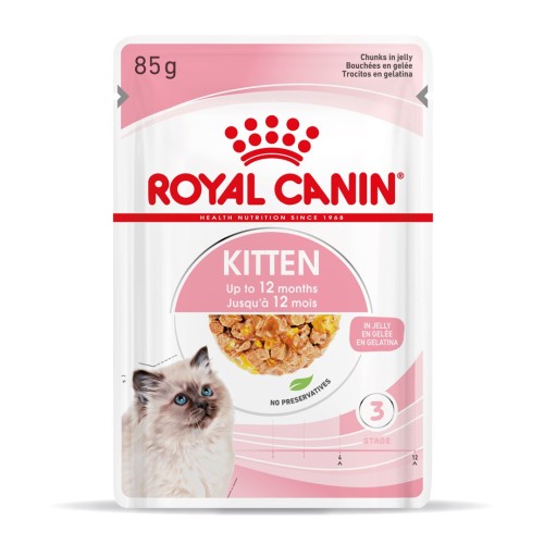 Royal Canin FHN Kitten Instinctive in sauce - wet food for kittens - 12x85g