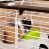 FERPLAST Casita 80 - Cage FERPLAST Casita 80 - Cage