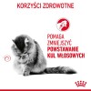 ROYAL CANIN Hairball Care Adult - dry cat food - 400g