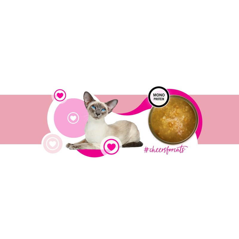 3COTY Cheers! 62. Turkey - wet cat food - 160g