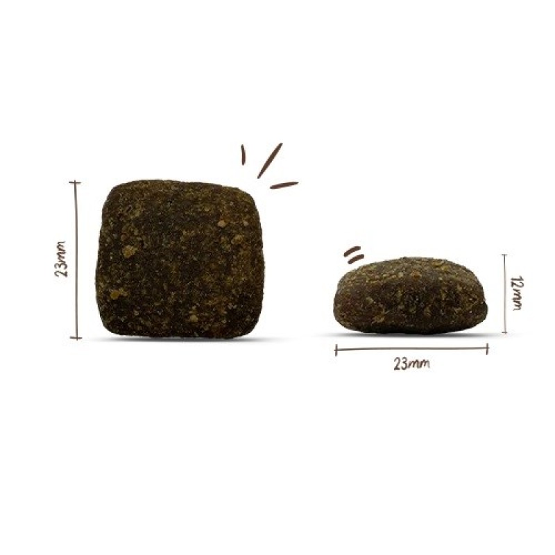 BOSCH Soft Maxi Water buffalo and sweet potatoes - dry dog food - 2,5kg BOSCH Soft Maxi Water buffalo and sweet potatoes - dry dog food - 2,5kg