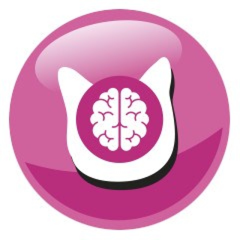 PREVITAL Junior Chicken - dry cat food - 950g