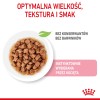 Royal Canin Sterilised Gravy 12x85g Royal Canin Sterilised Gravy 12x85g