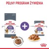 ROYAL CANIN Appetit Control pieces in sauce - wet cat food - 12 x 85g ROYAL CANIN Appetit Control pieces in sauce - wet cat food - 12 x 85g