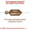 Royal Canin Senior Ageing 12+ dry cat food 2 kg Royal Canin Senior Ageing 12+ dry cat food 2 kg