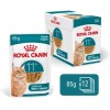 ROYAL CANIN Ageing 11+ Chunks in gravy - wet cat food - 12x85g