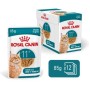 ROYAL CANIN Ageing 11+ Chunks in gravy - wet cat food - 12x85g