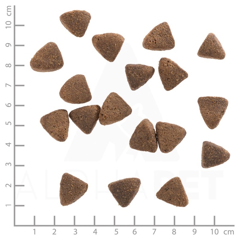 WOLFSBLUT Wide Plain Light Horse with sweet potatoes - dry dog food - 12,5kg