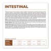 VET EXPERT Veterinary Diet Intestinal Dog - dry dog food - 2 kg VET EXPERT Veterinary Diet Intestinal Dog - dry dog food - 2 kg