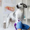 JM SANTE POLISEPT VET PP APTECZKA 100ml+30ml JM SANTE POLISEPT VET PP APTECZKA 100ml+30ml