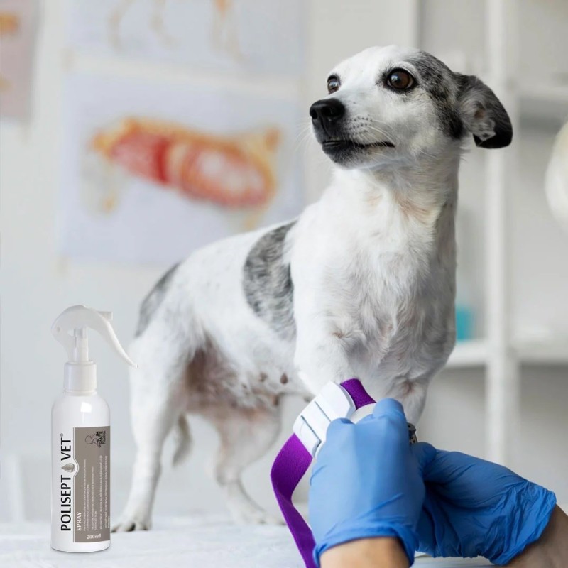 JM SANTE POLISEPT VET PP APTECZKA 100ml+30ml JM SANTE POLISEPT VET PP APTECZKA 100ml+30ml