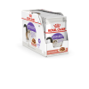 ROYAL CANIN FHN Sterilised in sauce - wet food for adult cats - 12x85g ROYAL CANIN FHN Sterilised in sauce - wet food for adult cats - 12x85g