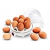 Esperanza EKE001 egg cooker 7 egg(s) 350 W White Esperanza EKE001 egg cooker 7 egg(s) 350 W White