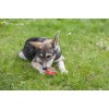 MACED Bone stuffed with beef rumen - chew for dog - 150g MACED Bone stuffed with beef rumen - chew for dog - 150g