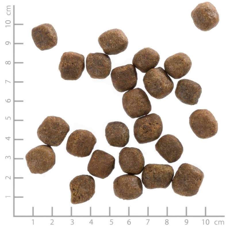 WOLFSBLUT Cold River Trout with sweet potatoes - dry dog food - 12,5kg