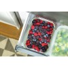 Gorenje NRK6202ES4 fridge-freezer Freestanding 331 L E Grey Gorenje NRK6202ES4 fridge-freezer Freestanding 331 L E Grey