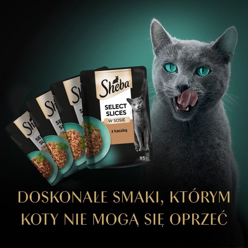 SHEBA Mini Fresh Cuisine Taste of Tokyo - wet cat food - 6x50 g SHEBA Mini Fresh Cuisine Taste of Tokyo - wet cat food - 6x50 g
