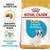 ROYAL CANIN French Bulldog Puppy - dry dog food - 3 kg ROYAL CANIN French Bulldog Puppy - dry dog food - 3 kg