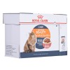 ROYAL CANIN Intense Beauty Wet cat food Chunks in sauce 12x85 g