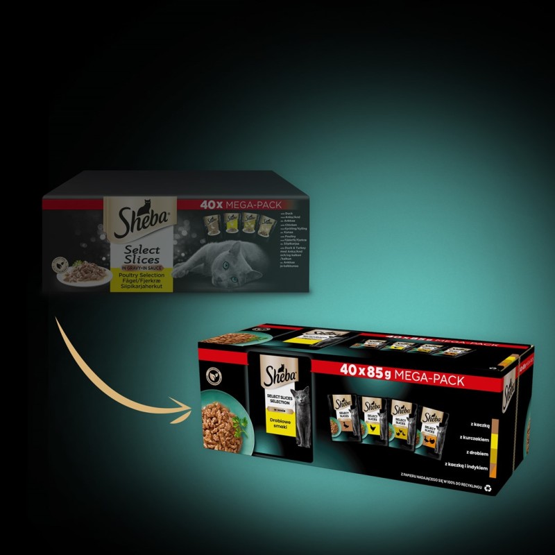 SHEBA Mini Fresh Cuisine Taste of Tokyo - wet cat food - 6x50 g SHEBA Mini Fresh Cuisine Taste of Tokyo - wet cat food - 6x50 g
