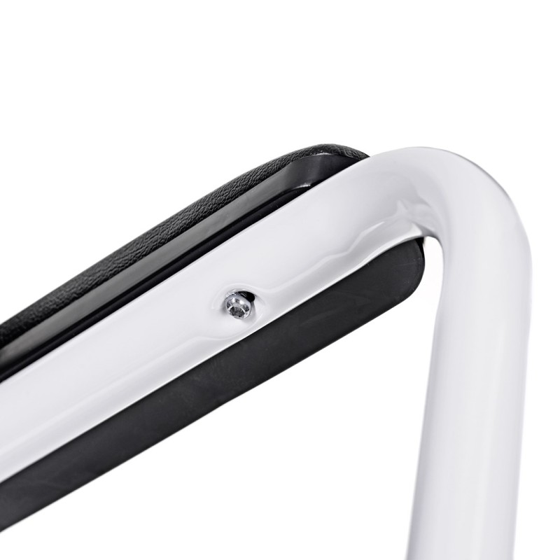 Support rail for standing up from toilet ACTIONMED