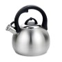 Maestro MR-1311 kettle 3.0 L Stainless steel