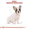 ROYAL CANIN French Bulldog Puppy - dry dog food - 3 kg ROYAL CANIN French Bulldog Puppy - dry dog food - 3 kg