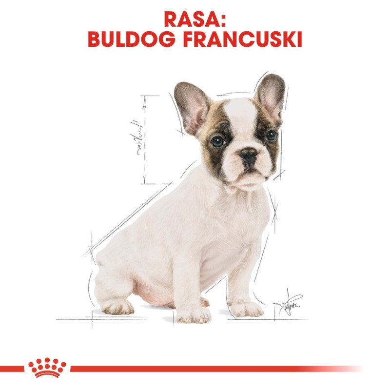 ROYAL CANIN French Bulldog Puppy - dry dog food - 3 kg ROYAL CANIN French Bulldog Puppy - dry dog food - 3 kg