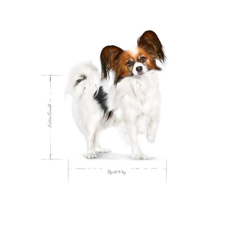 ROYAL CANIN Adult x- small SHN - dry dog food - 0,5kg ROYAL CANIN Adult x- small SHN - dry dog food - 0,5kg
