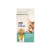 Purina CAT CHOW HAIRBALL CONTROLL cats dry food 1.5 kg Adult Chicken
