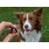 GELOREN Small dog Joints - dog vitamins - 180g GELOREN Small dog Joints - dog vitamins - 180g