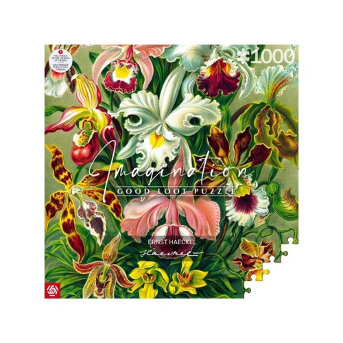 Imagination Puzzle: Ernst Haeckel Orchid 1000 elements Imagination Puzzle: Ernst Haeckel Orchid 1000 elements