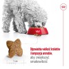ROYAL CANIN Adult Mini S - dry dog food - 8kg ROYAL CANIN Adult Mini S - dry dog food - 8kg