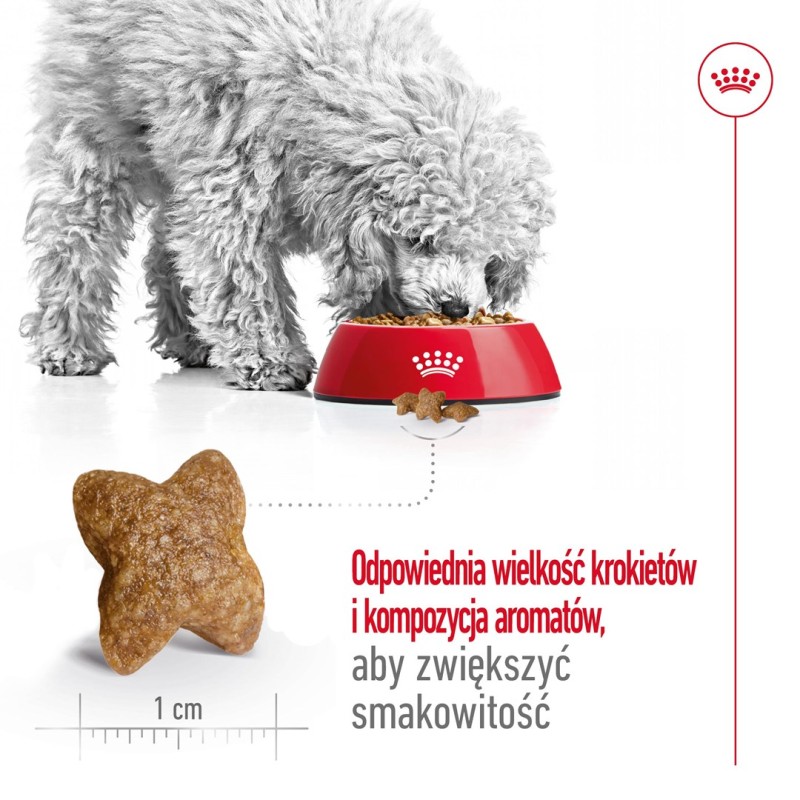 ROYAL CANIN Adult Mini S - dry dog food - 8kg ROYAL CANIN Adult Mini S - dry dog food - 8kg