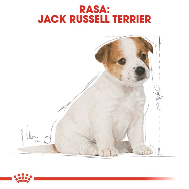 ROYAL CANIN Yorkshire Terrier Puppy - dry dog food - 1,5 kg ROYAL CANIN Yorkshire Terrier Puppy - dry dog food - 1,5 kg