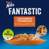 BRIT Care Fillets in Jelly tuna fillets - wet cat food - 85 g BRIT Care Fillets in Jelly tuna fillets - wet cat food - 85 g