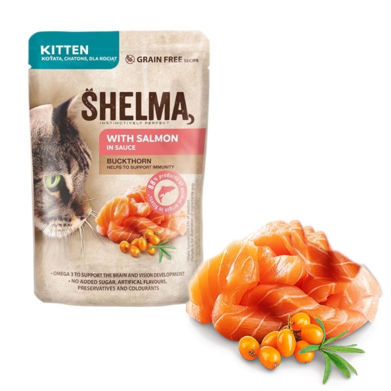 SHELMA Kitten with salmon in sauce - wet cat food - 85g