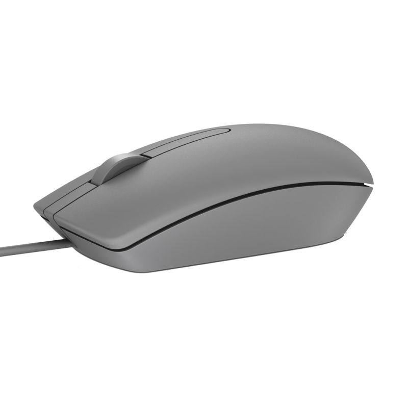 DELL MS116 mouse Ambidextrous USB Type-A Optical 1000 DPI DELL MS116 mouse Ambidextrous USB Type-A Optical 1000 DPI
