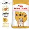 ROYAL CANIN Bulldog Adult - dry dog food - 12 kg ROYAL CANIN Bulldog Adult - dry dog food - 12 kg