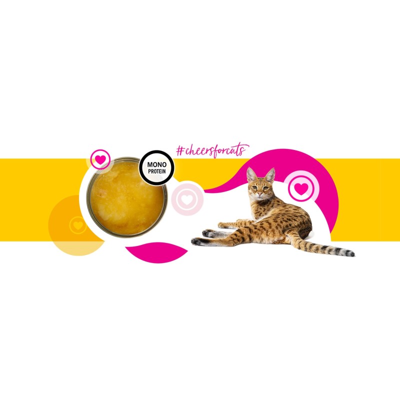 3COTY Cheers! 61. Chicken - wet cat food - 160g