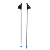 Nordic walking poles Viking Pro-Trainer blue 110 Nordic walking poles Viking Pro-Trainer blue 110