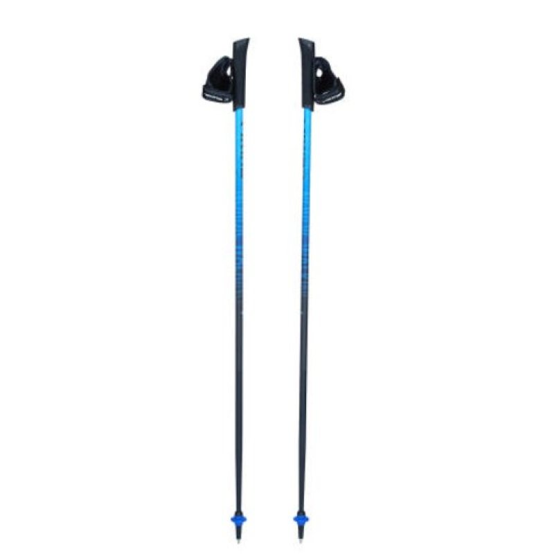 Nordic walking poles Viking Pro-Trainer blue 110 Nordic walking poles Viking Pro-Trainer blue 110