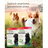Bozita Indoor&Sterilised Grain free Reindeer 2 kg Bozita Indoor&Sterilised Grain free Reindeer 2 kg