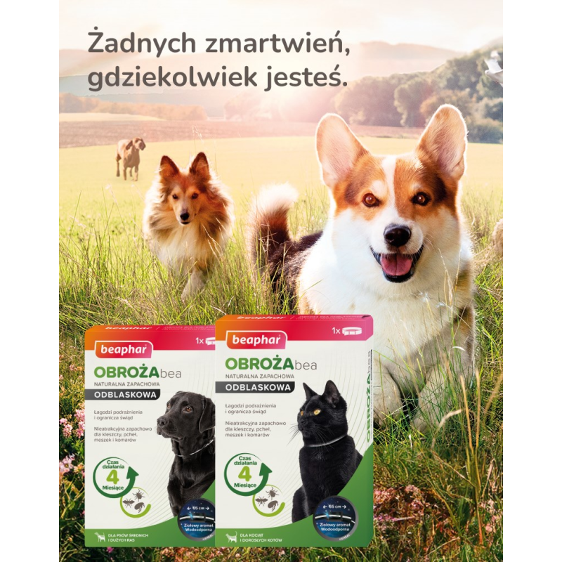 Bozita Indoor&Sterilised Grain free Reindeer 2 kg Bozita Indoor&Sterilised Grain free Reindeer 2 kg