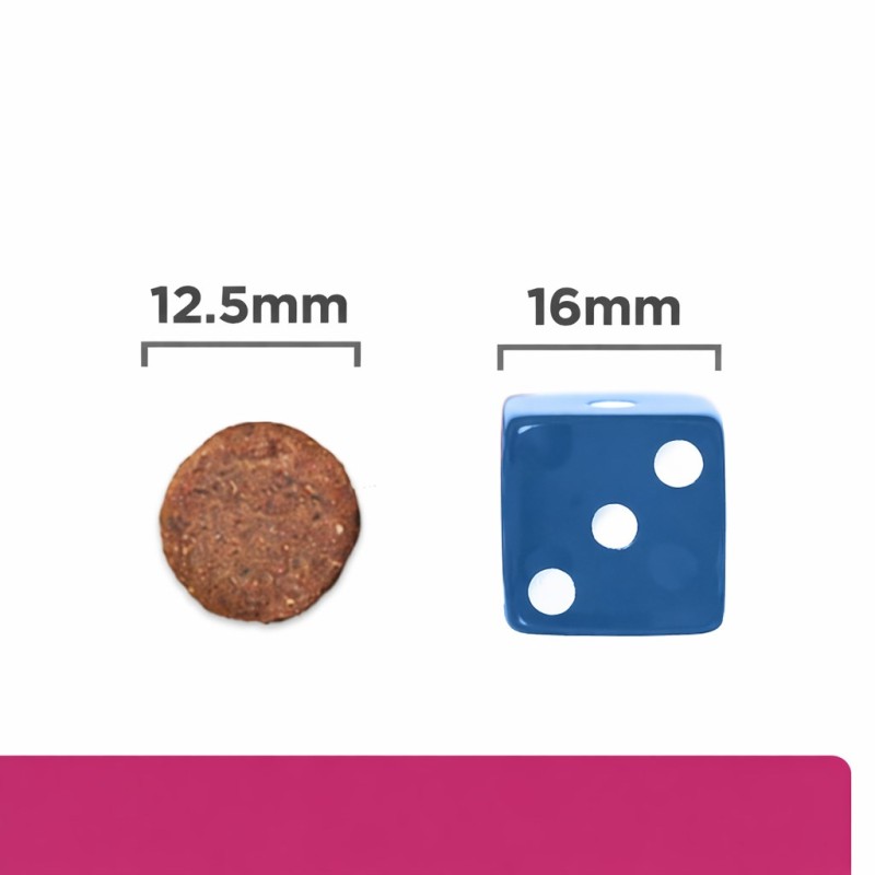 HILL'S PD Gastrointestinal Biome - dry dog food - 10 kg